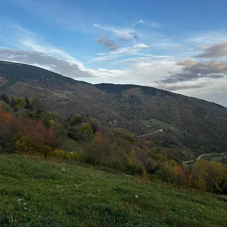 Japot